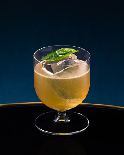 Nova Sour cocktail